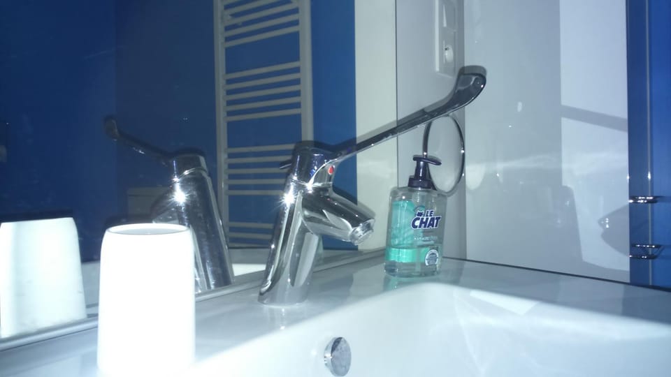 Bathroom, Facility for disabled guests