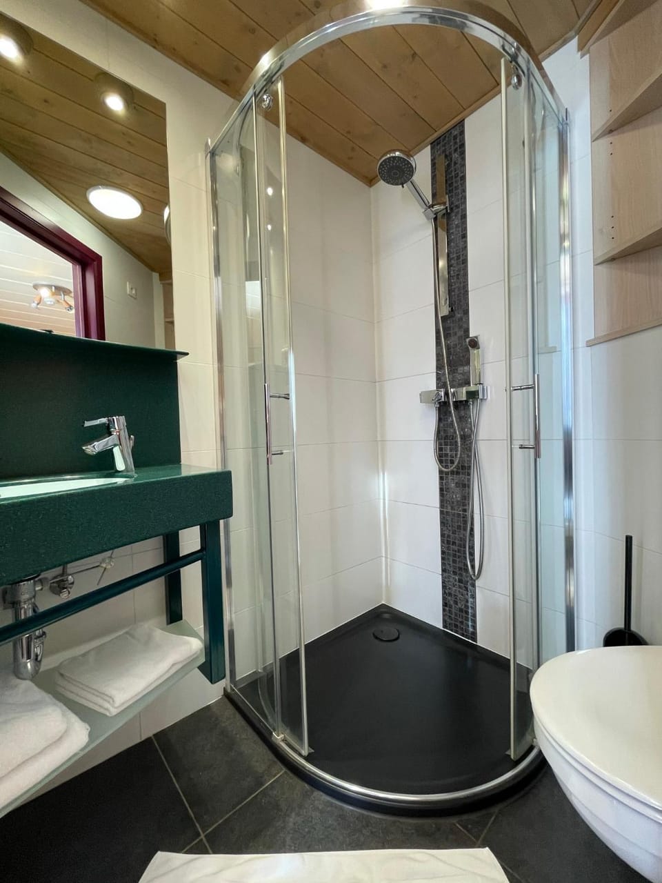 Shower, Toilet, hair dryier, towels