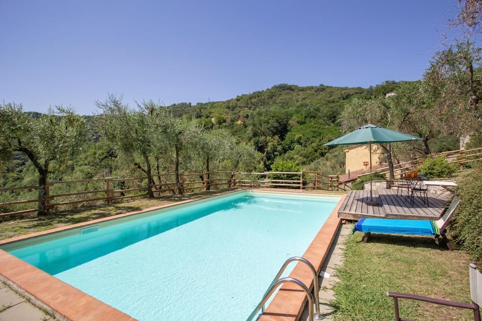Swimming pool, Swimming pool