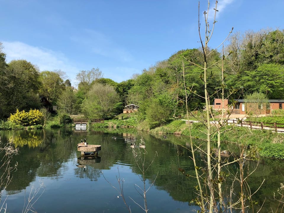 Natural landscape, On site, Lake view