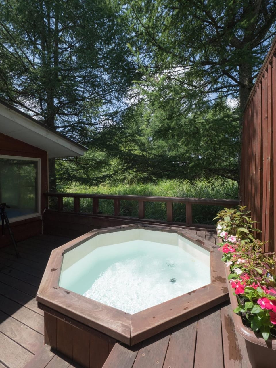 Guesthouse Curry Village Bed and Breakfast in Nagano Prefecture
