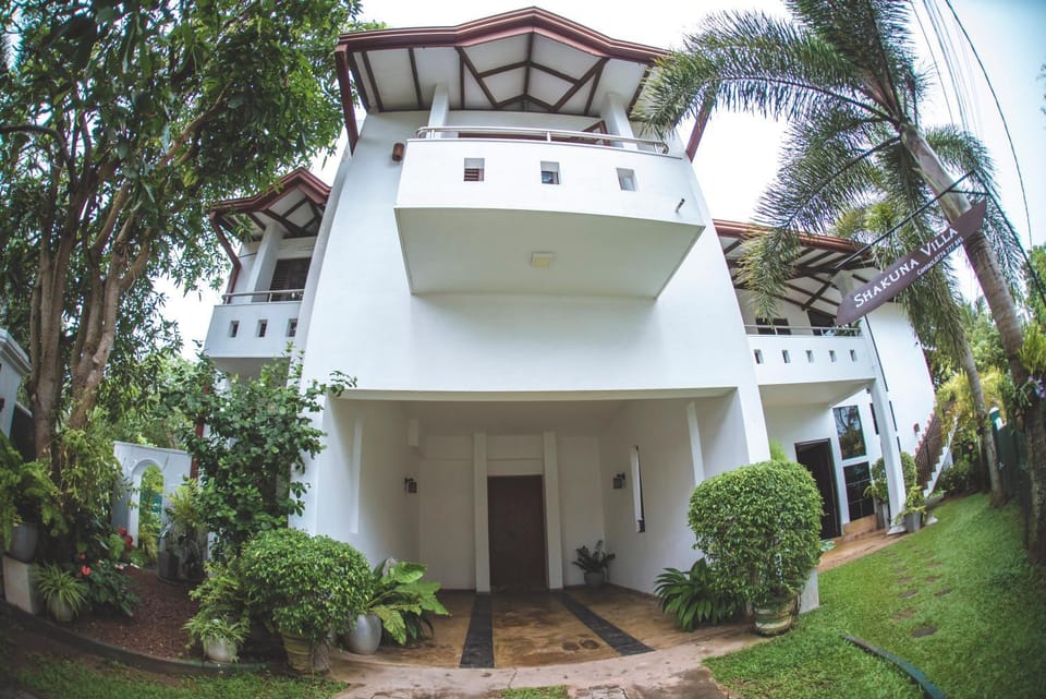 Property building, Day, Garden view