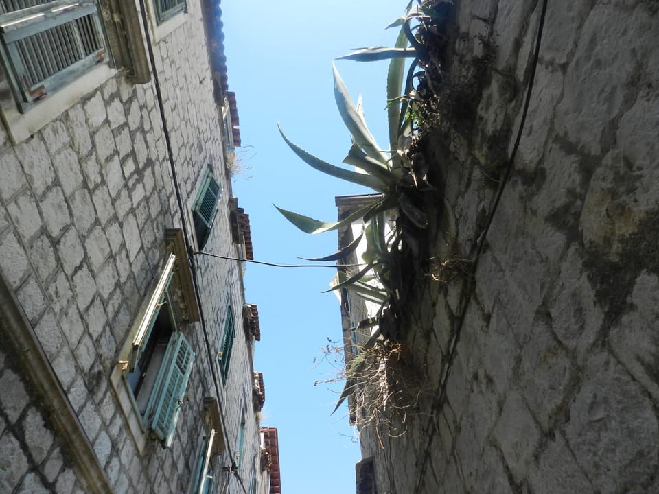 Neighbourhood