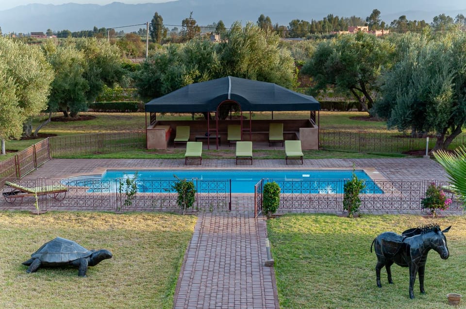 Spring, Garden, Garden view, Pool view, Swimming pool