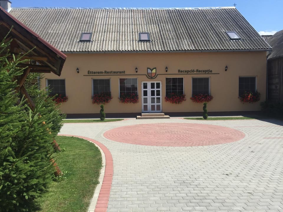 Gyongyvirag Panzio (Pensiunea Lacramioara) Bed and Breakfast in Brașov County