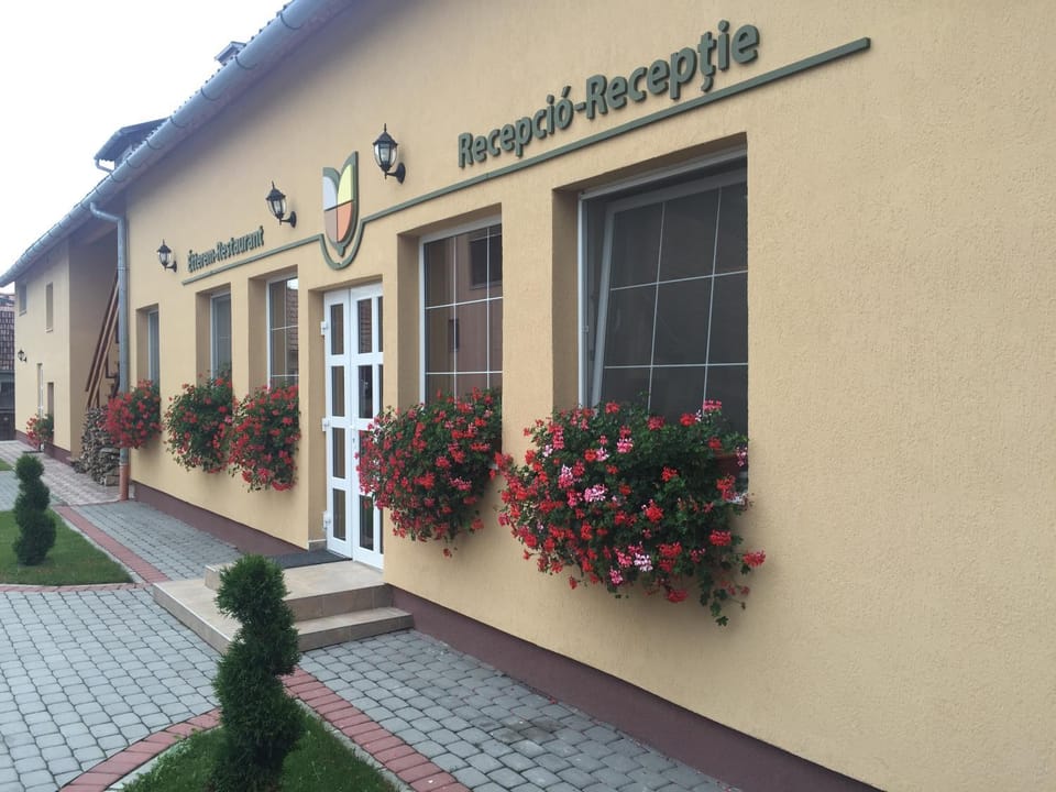 Gyongyvirag Panzio (Pensiunea Lacramioara) Bed and Breakfast in Brașov County