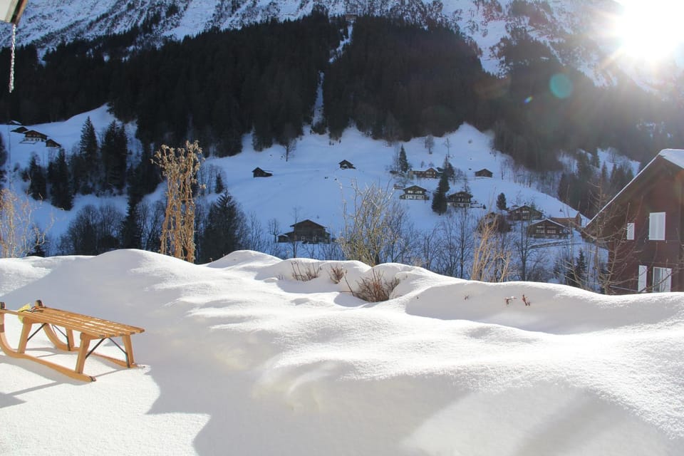 Natural landscape, Winter