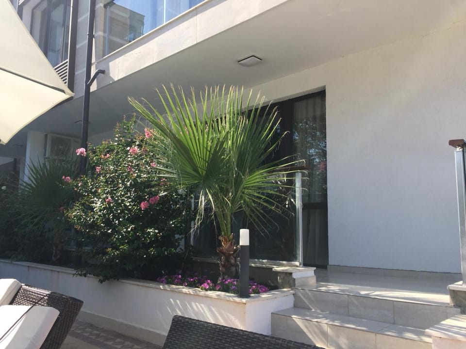 Patio, Balcony/Terrace