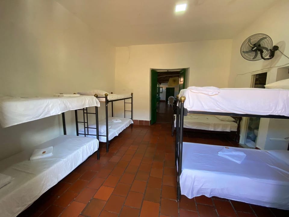 bunk bed