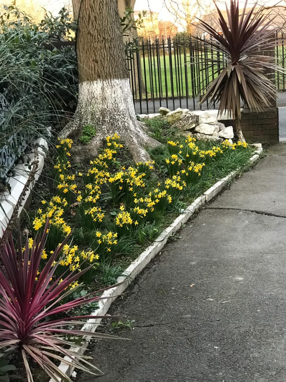 Garden view