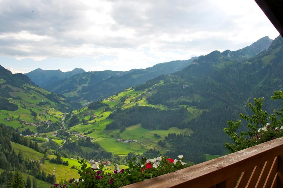 Mountain view