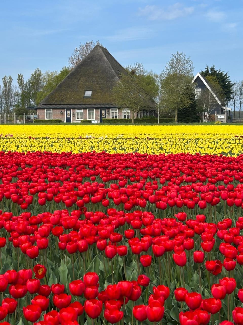 Spring, Natural landscape, Garden view