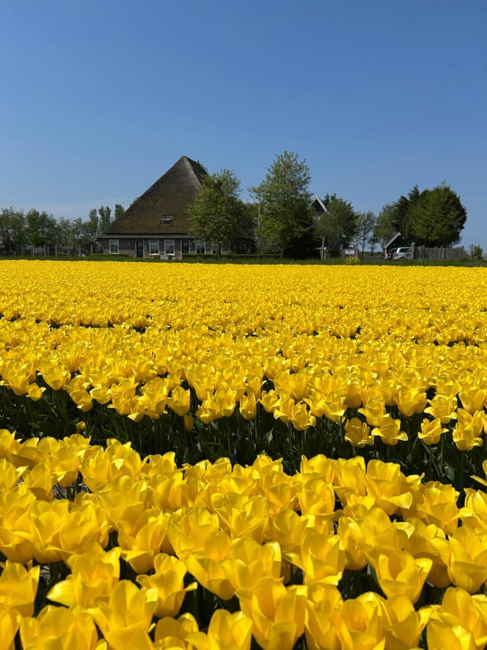 Spring, Natural landscape
