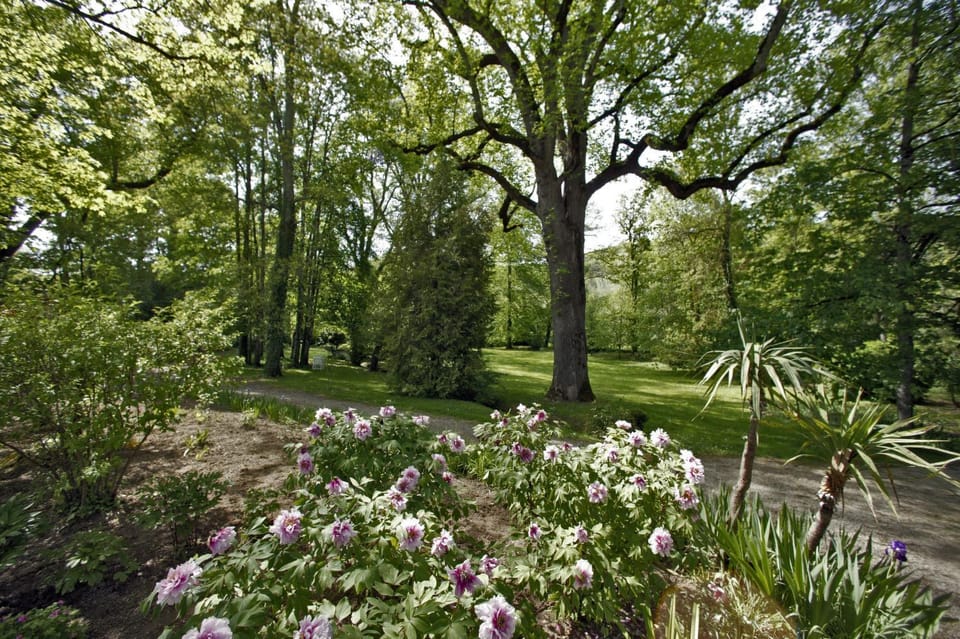 Garden, Garden view