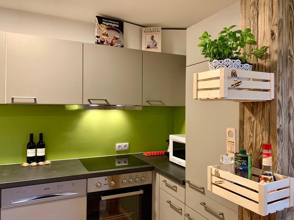 Boutique Appartments AlteGreißlerei Apartment in Salzburgerland