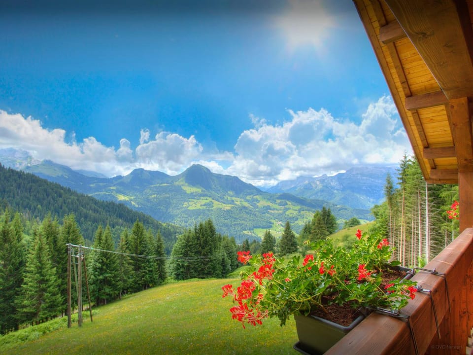Natural landscape, Summer, Mountain view