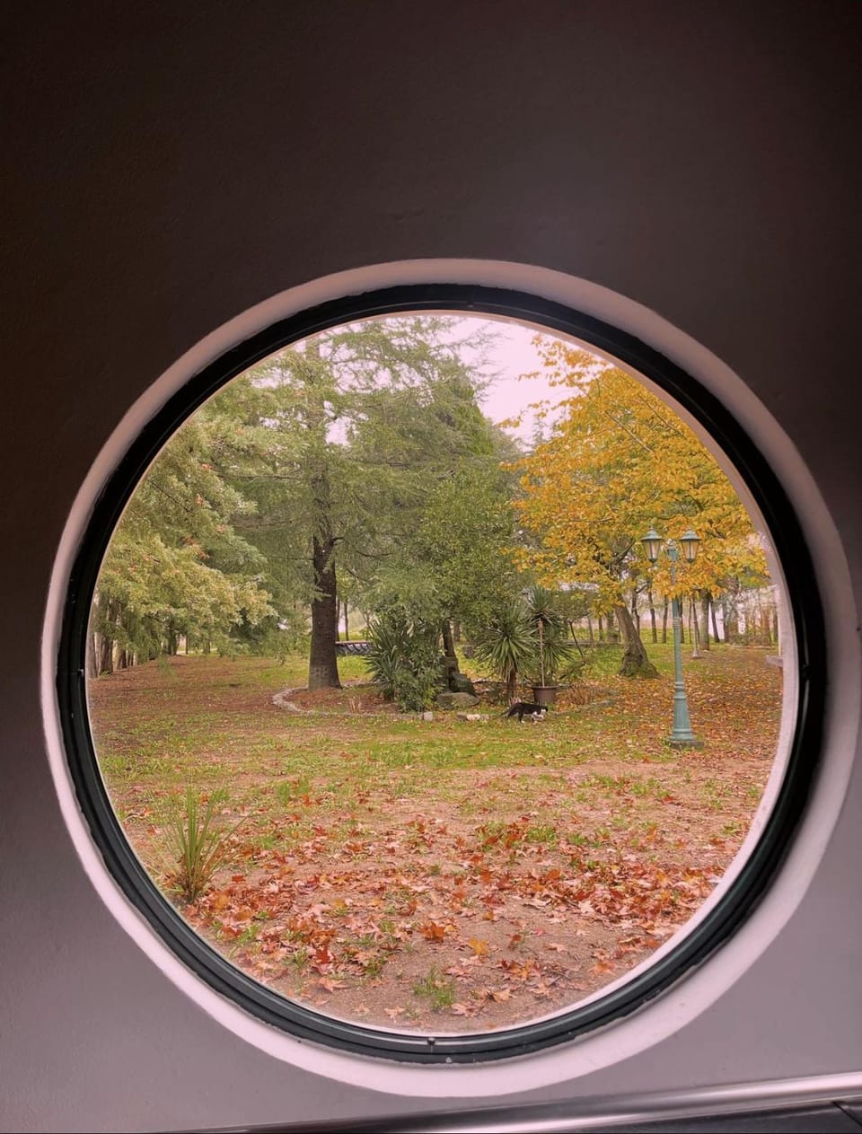 Garden view