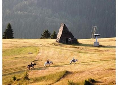 Horse-riding