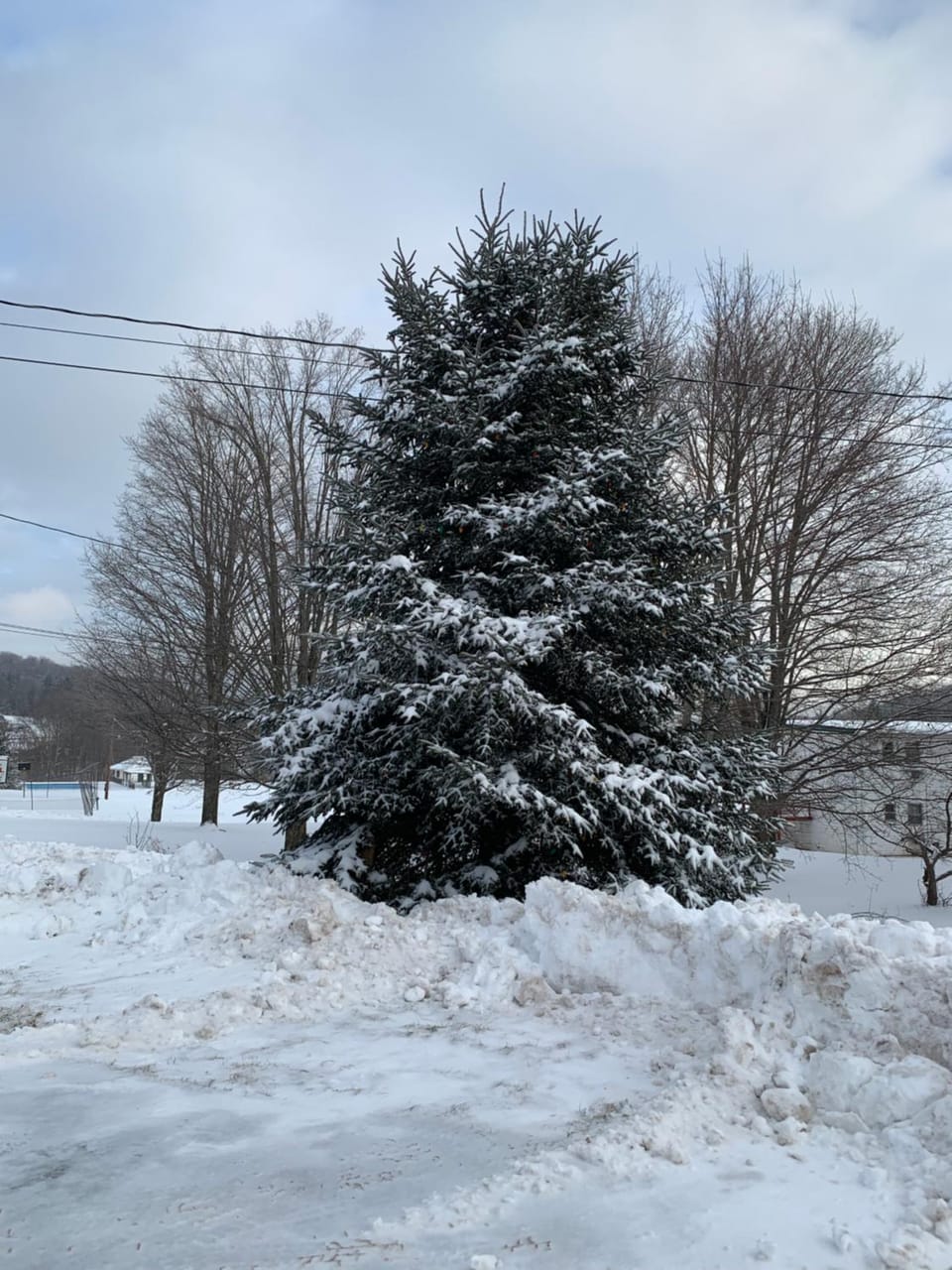 Winter