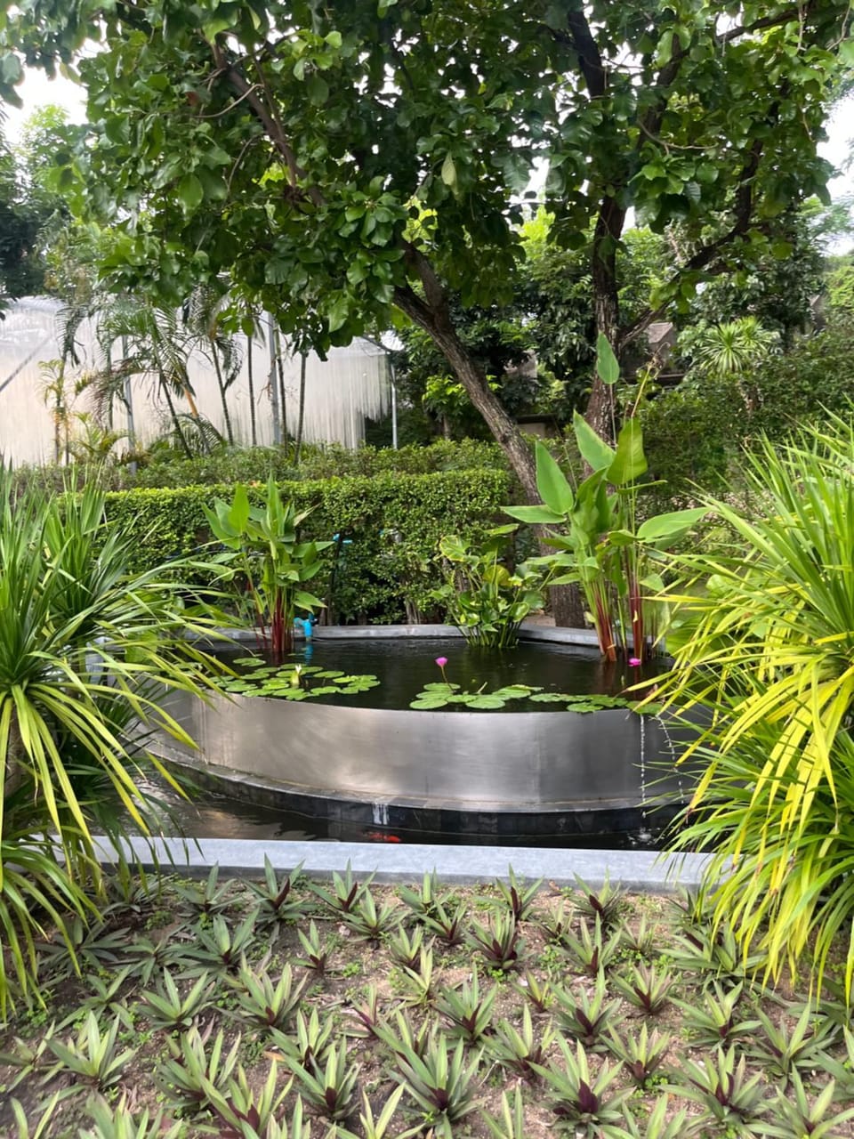 Natural landscape
