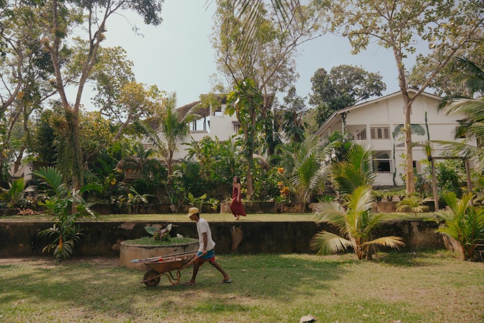 Property building, Garden, Garden view