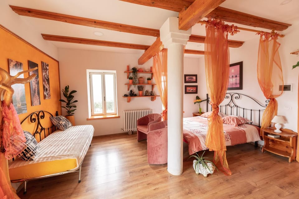 Photo of the whole room