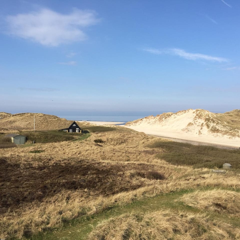 Henne Mølle Å Badehotel Hotel in Henne Kirkeby