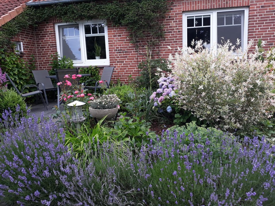 Garden, Balcony/Terrace