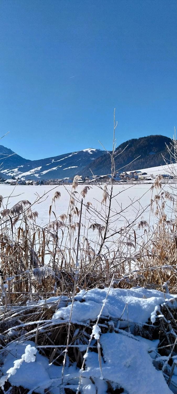 Natural landscape, Winter