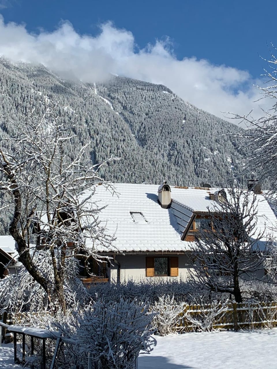 Winter