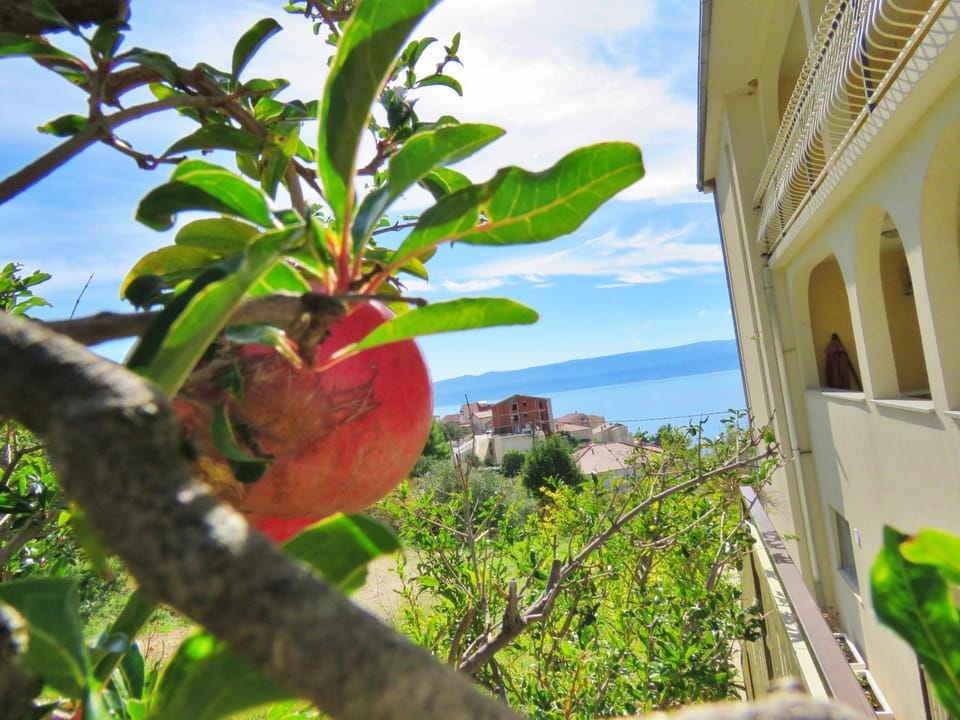 Property building, Sea view