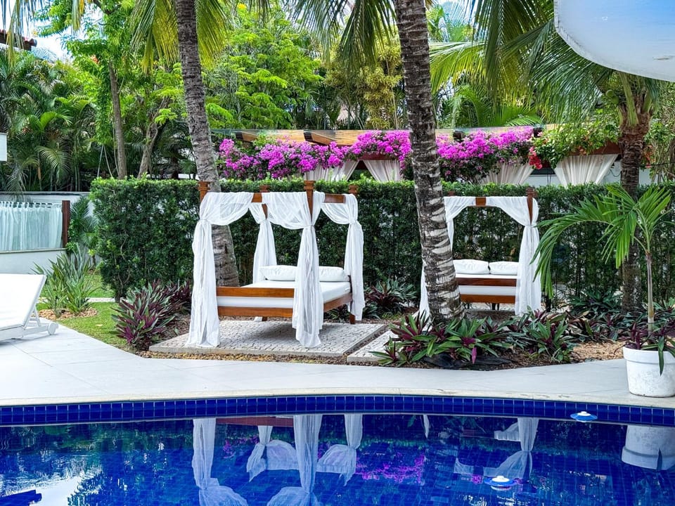 Garden, Swimming pool, sunbed