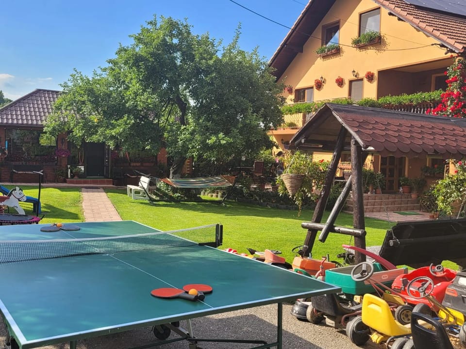 Table tennis