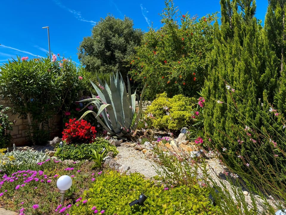 Spring, Day, Natural landscape, Garden, Garden view