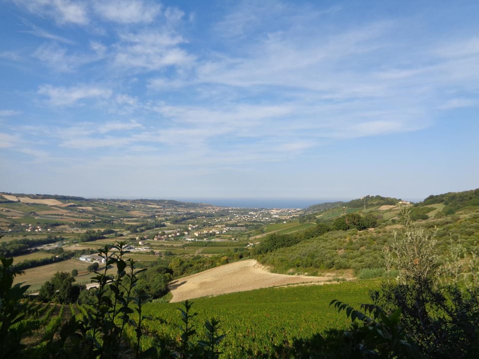 Garden, Balcony/Terrace, Sea view