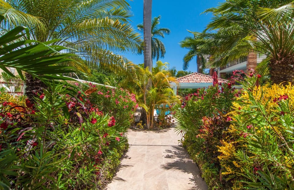 Natural landscape, Garden