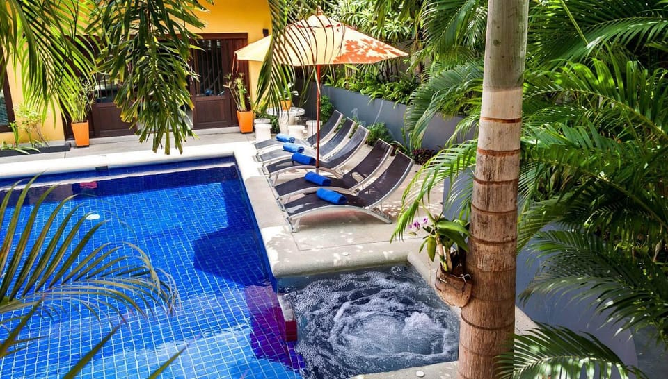 Patio, Day, Garden, Seating area, Swimming pool, sunbed