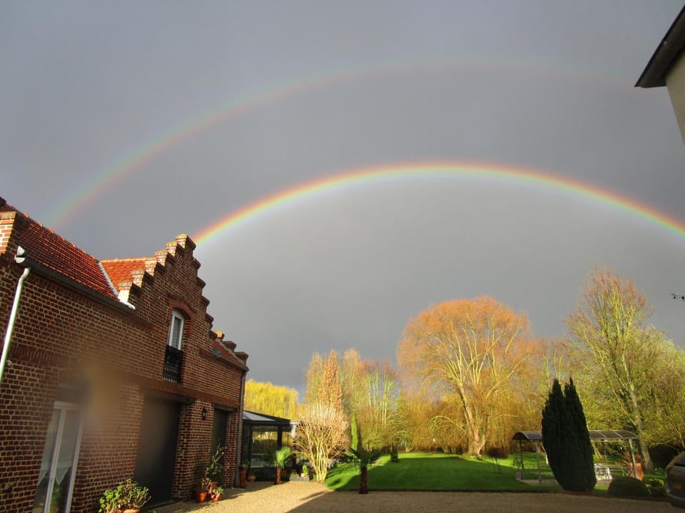 Day, Garden, Garden view
