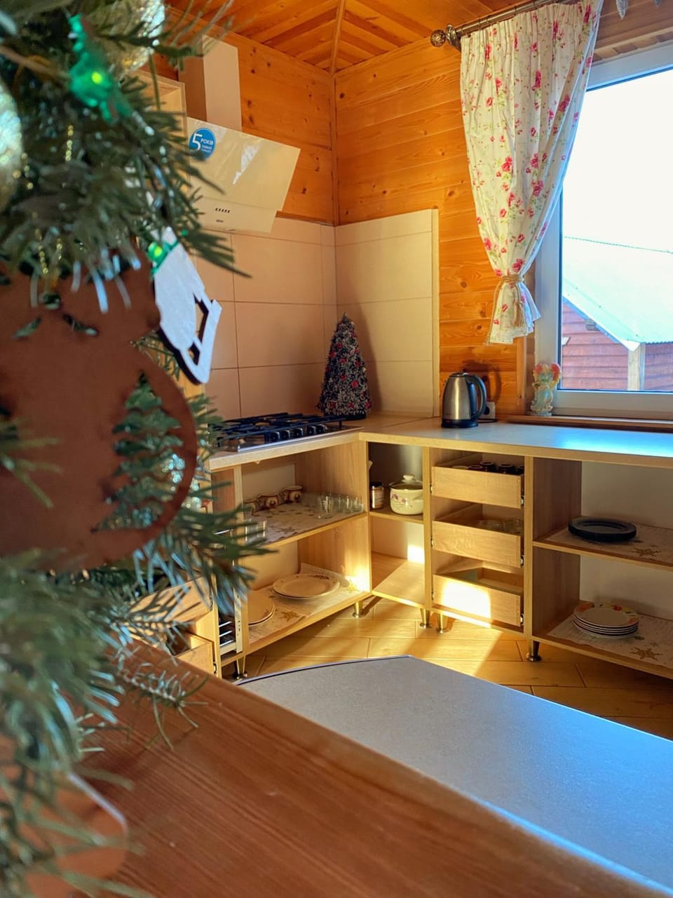 Faina House Bed and Breakfast in Ukraine
