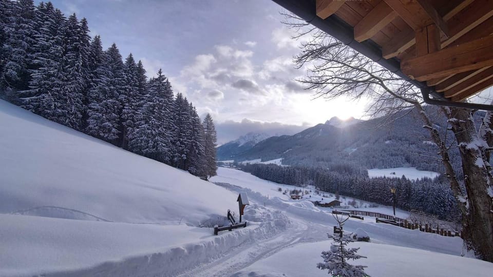Natural landscape, View (from property/room), Garden view