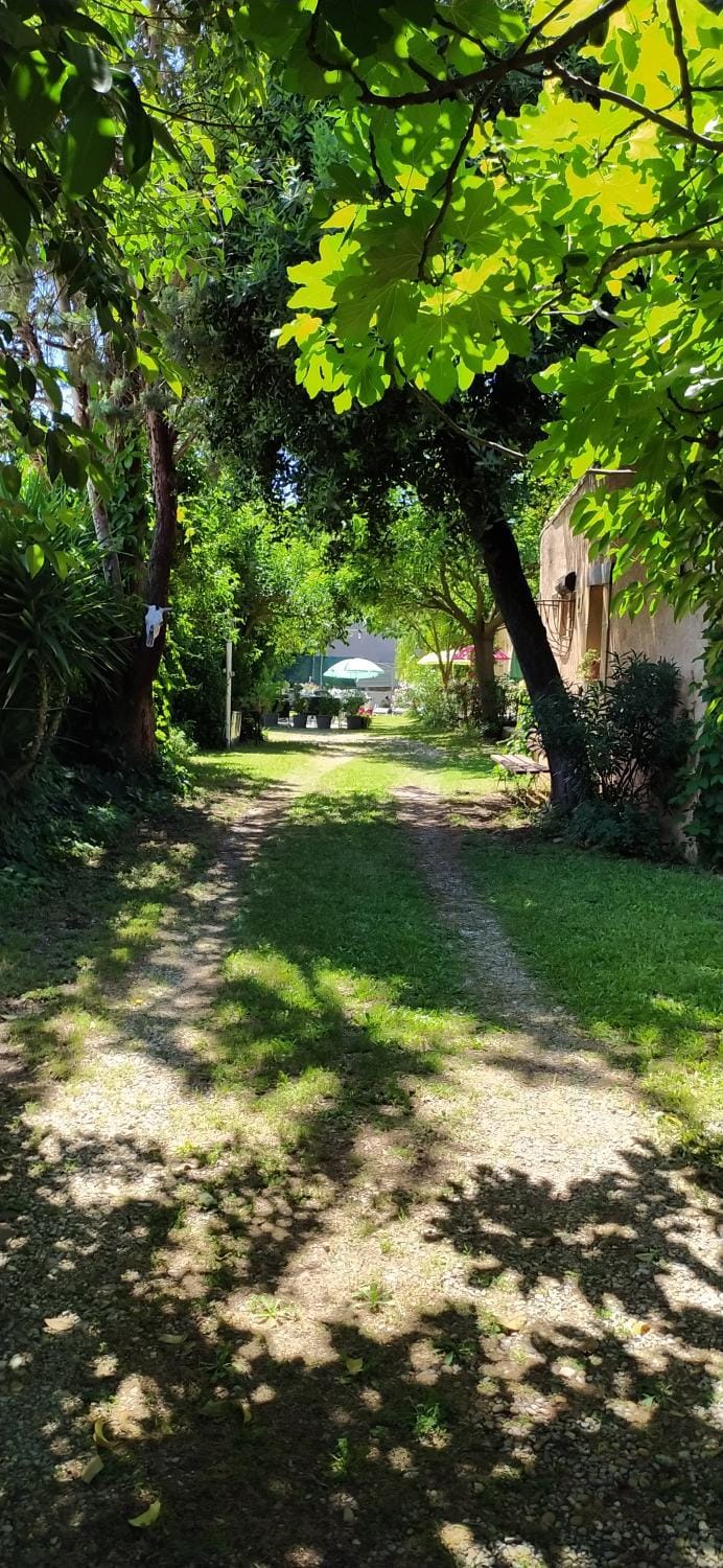 Day, Natural landscape, Garden, Garden view