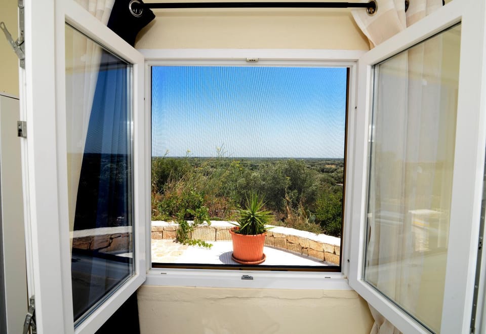 Natural landscape, Garden view