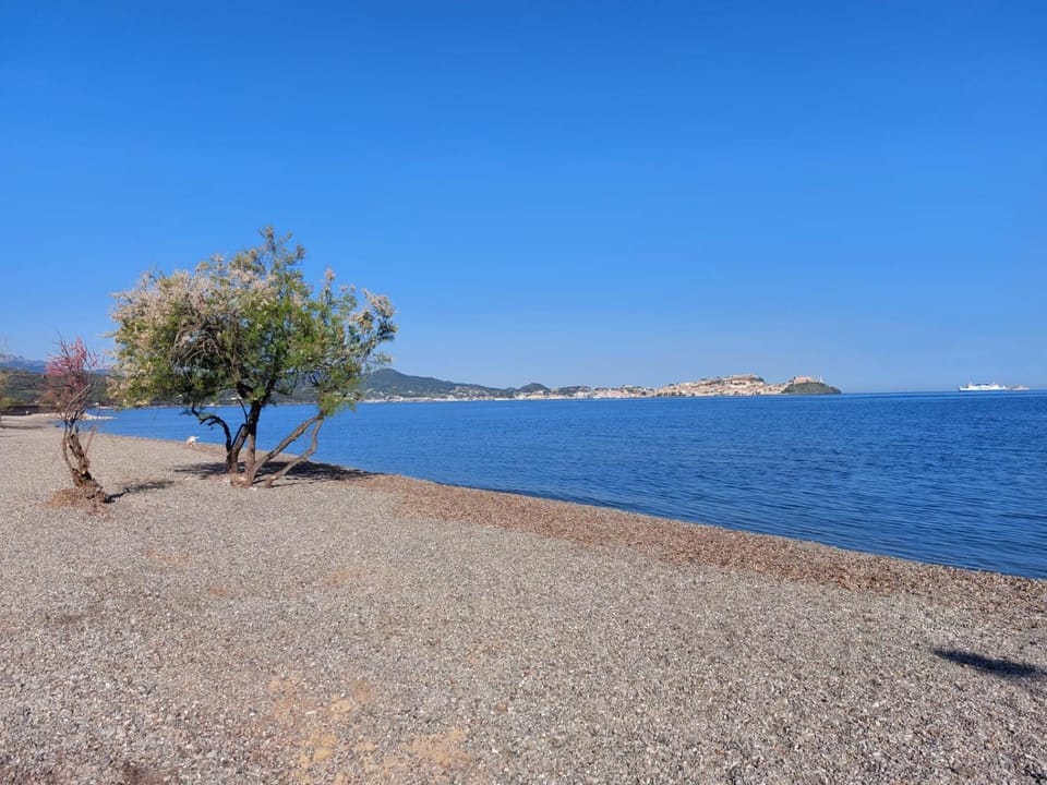 Natural landscape, Beach