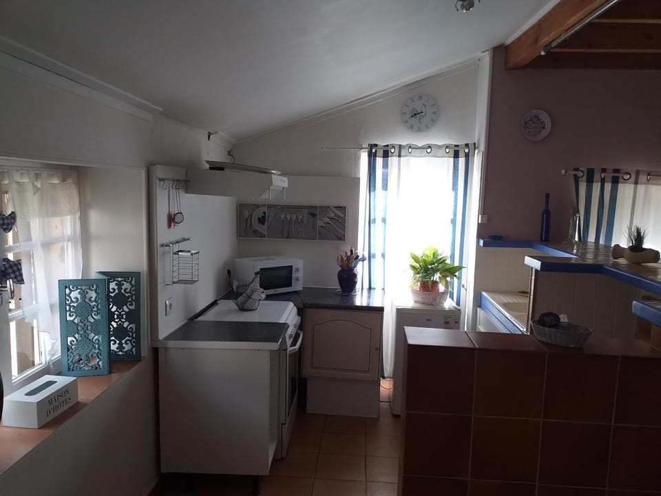 Kitchen or kitchenette, minibar, pet friendly, stove
