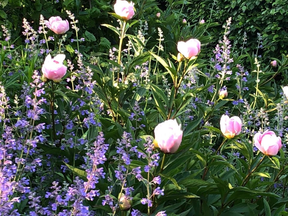 La Fournio Bed and Breakfast in Auvergne-Rhône-Alpes