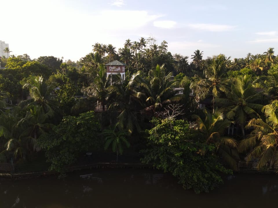 Natural landscape, River view