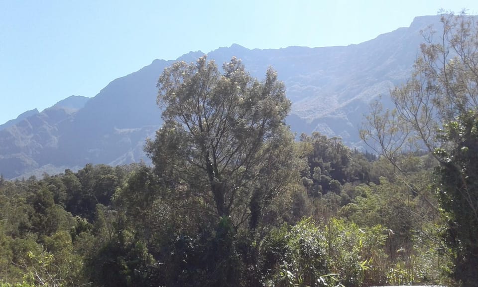 Mountain view