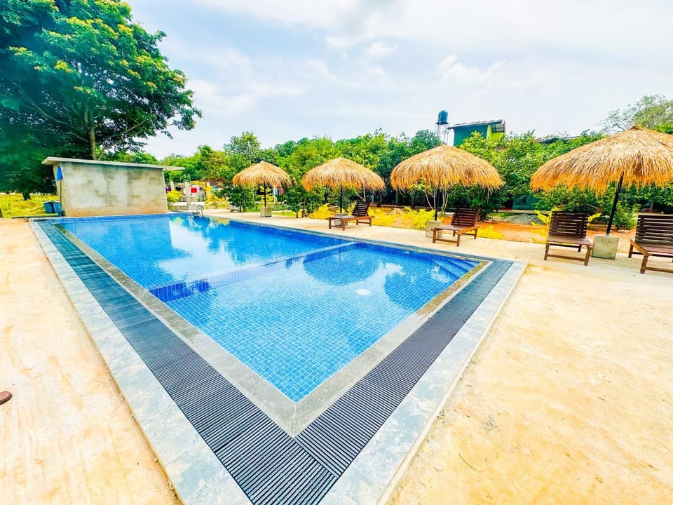 Spring, Day, Natural landscape, Garden, Garden view, Pool view, Swimming pool, sunbed