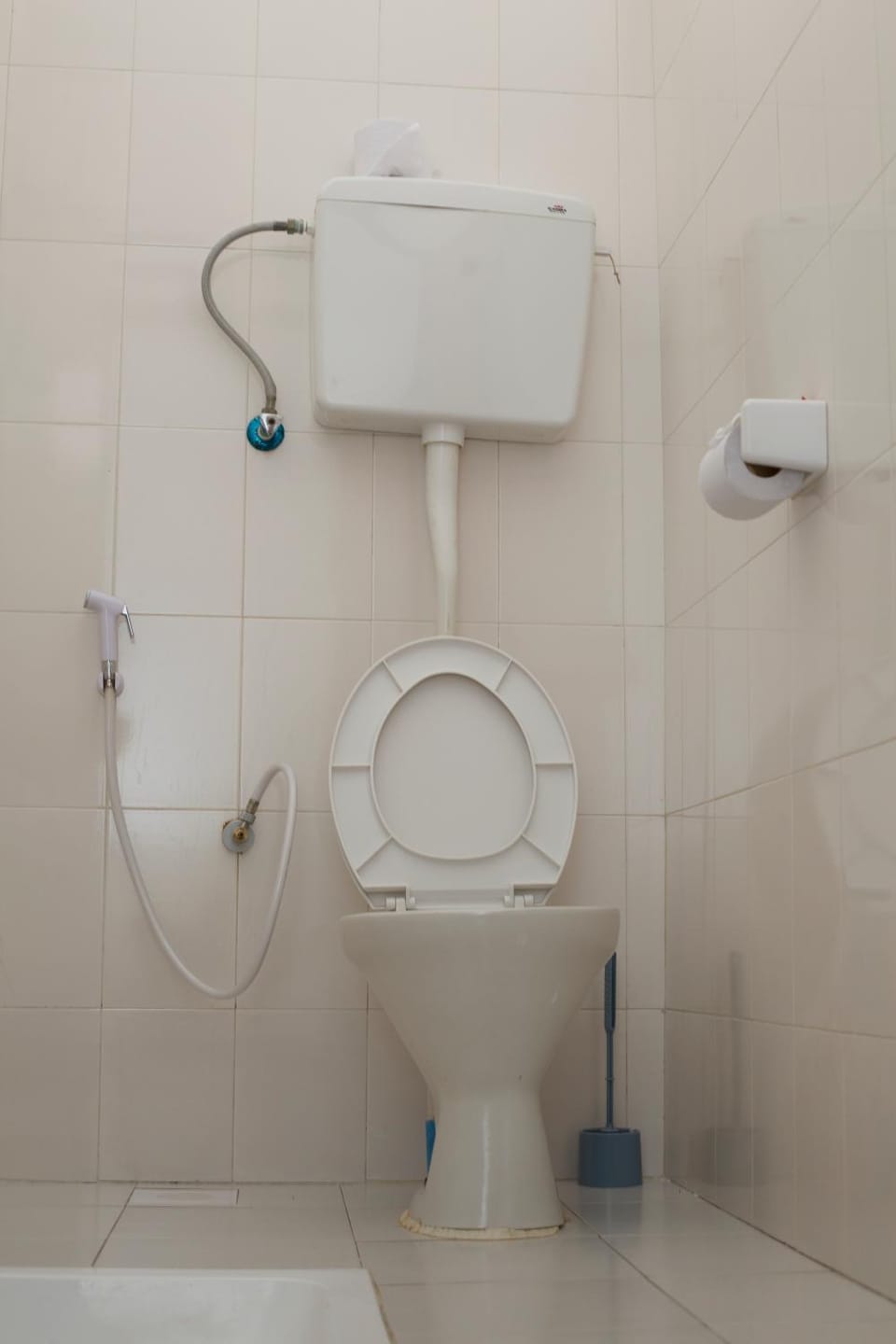 Toilet, Bathroom, bidet