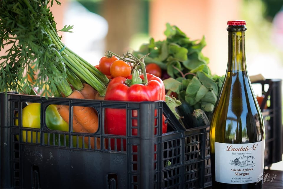 Agriturismo Morgan Farm Stay in Trentino-South Tyrol